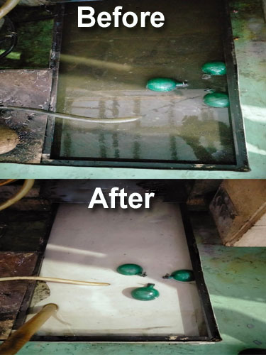Tramp Oil Separator